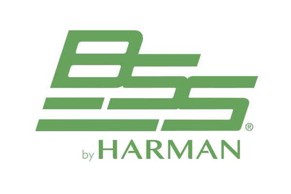 BSS